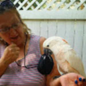 Meet your Posher, Lisa